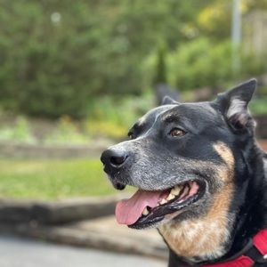 Meet your Posher, Max